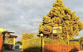 Camellia Court Family Motel